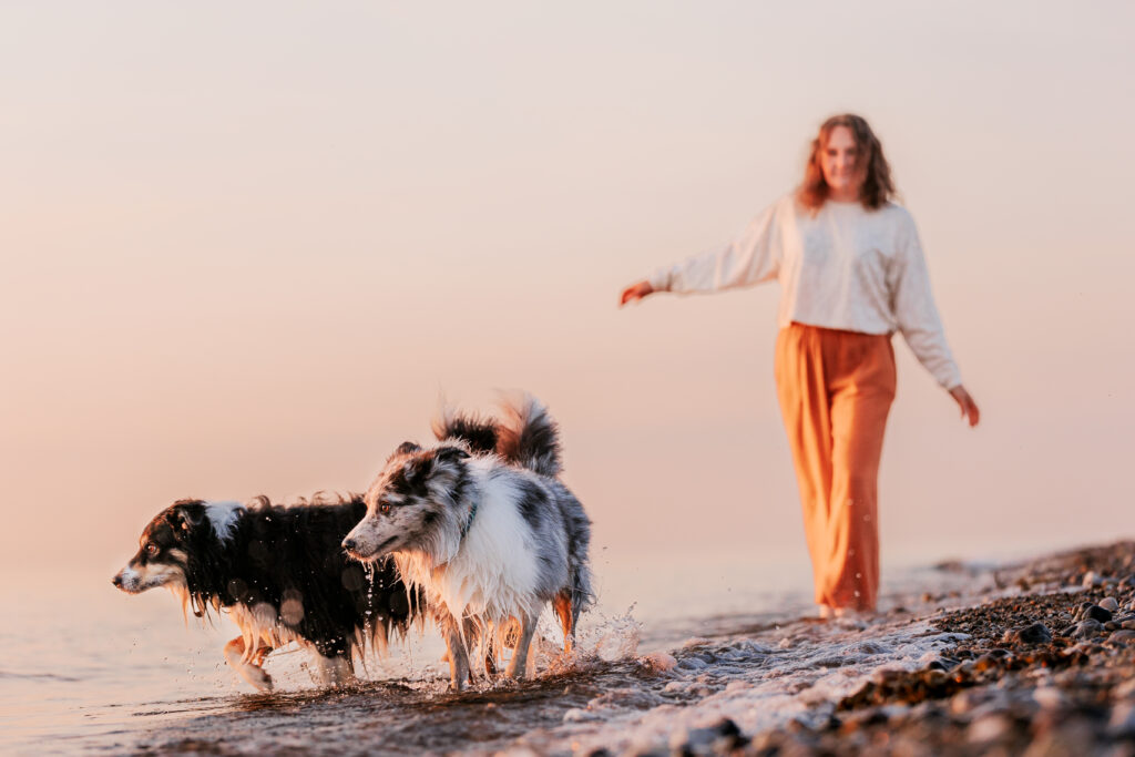 Hundefotografin Hessen