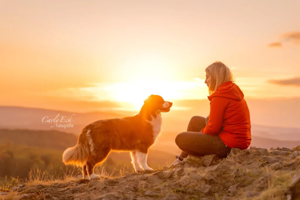 Hundefotografie Kassel