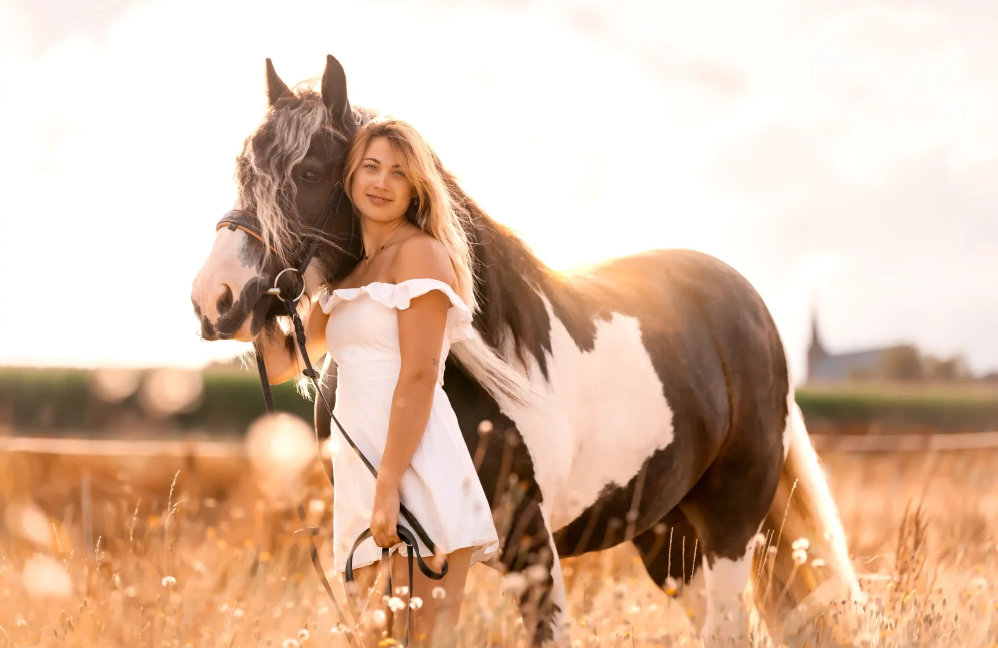 Pferdefotografin Kassel